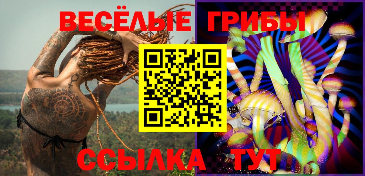 Набережные Челны  Псилоцибиновые грибы MAGIC MUSHROOMS  Вход с VPN 